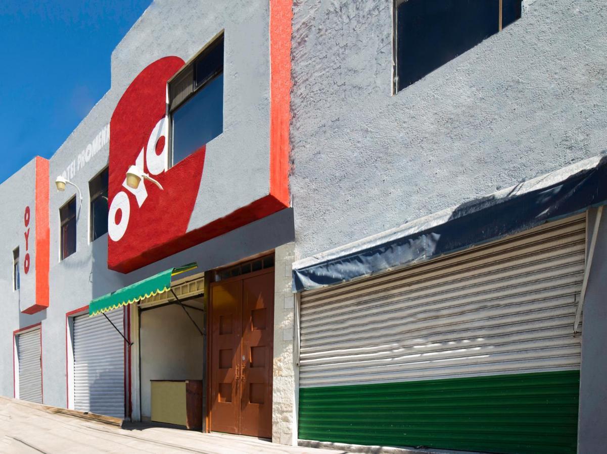 Oyo Promenade,Terminal Central De Autobuses De グアナファト エクステリア 写真