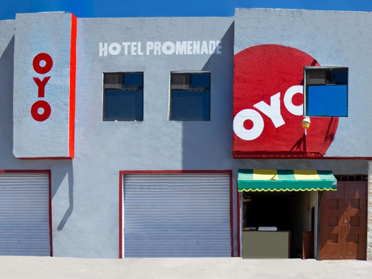 Oyo Promenade,Terminal Central De Autobuses De グアナファト エクステリア 写真